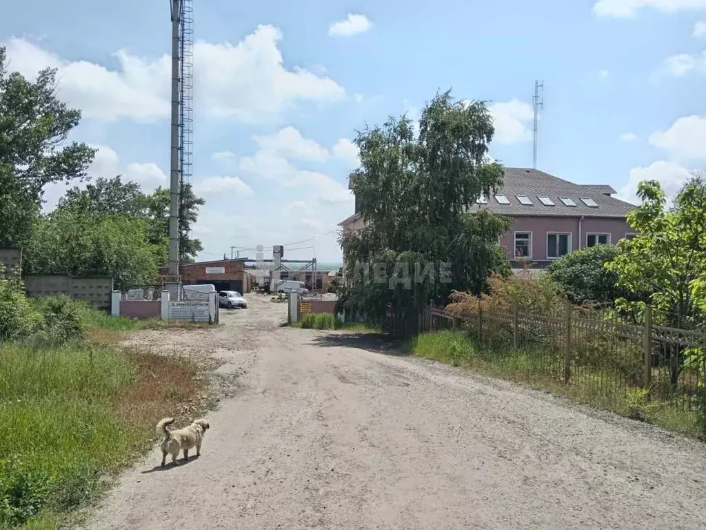 Участок в Ростовская область, Каменск-Шахтинский  (50.0 сот.) - Фото 0