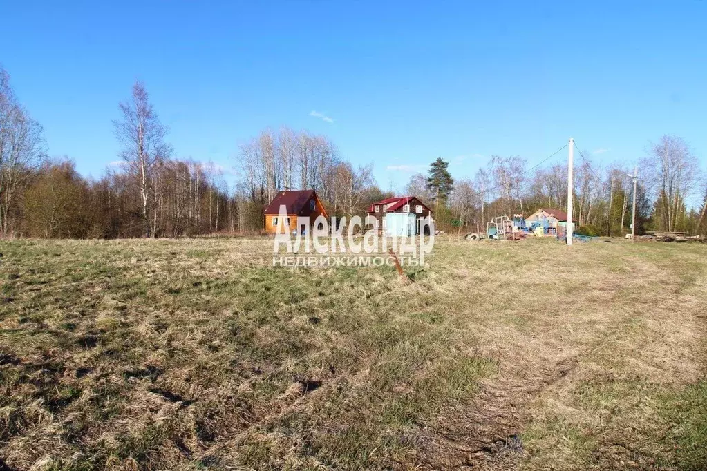 Участок в Ленинградская область, Выборгский район, Каменногорское ... - Фото 2