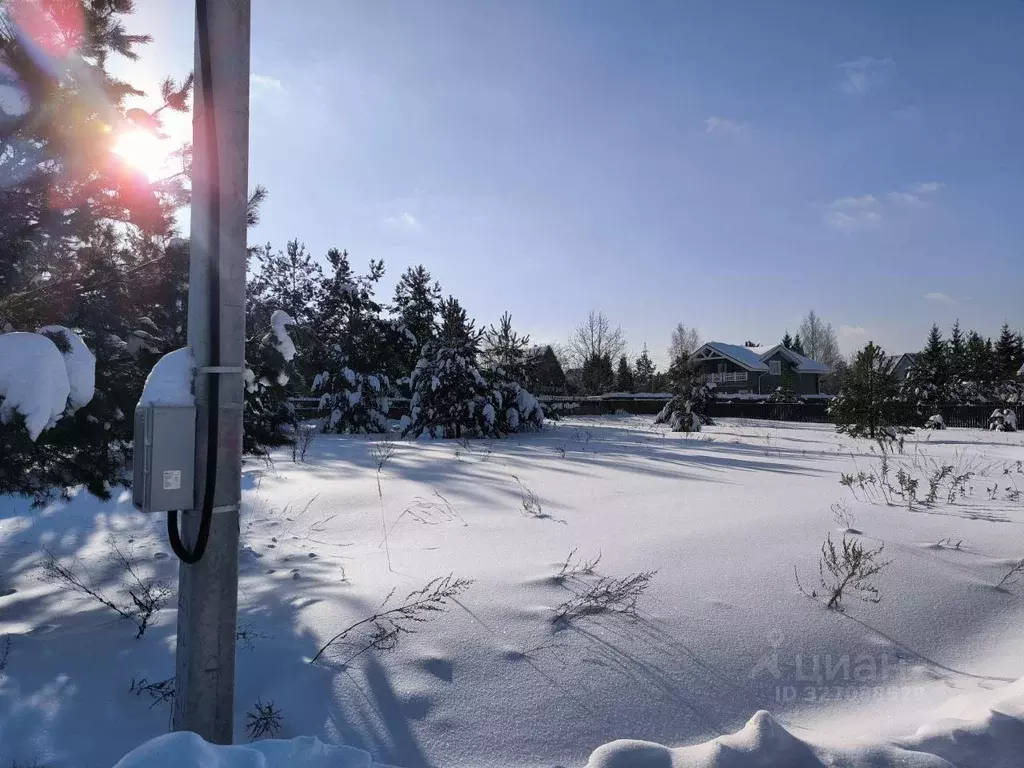 Участок, 5.6 сот., поселения (ижс) - Фото 1