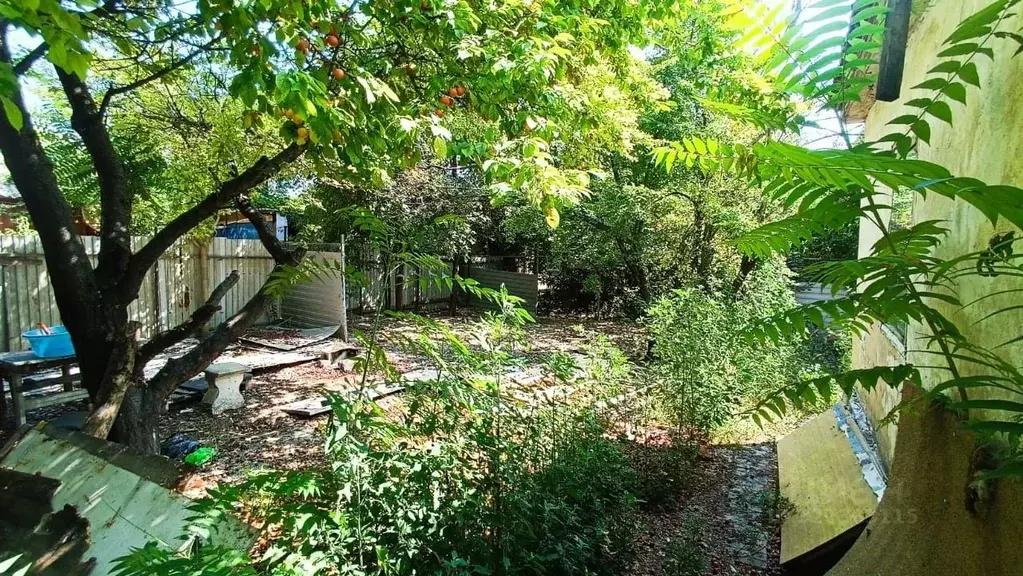 Участок в Краснодарский край, Новороссийск ул. Карамзина (5.6 сот.) - Фото 1