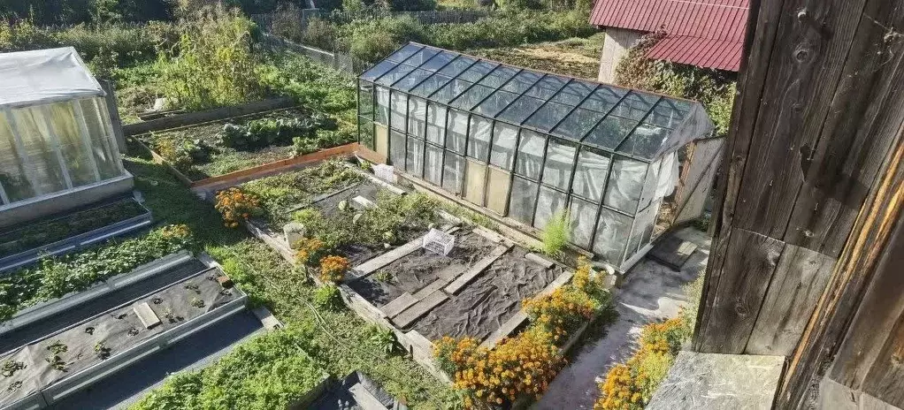 Дом в Хабаровский край, Комсомольск-на-Амуре АЗС Сад № 7 СНТ, ул. 2-я ... - Фото 1