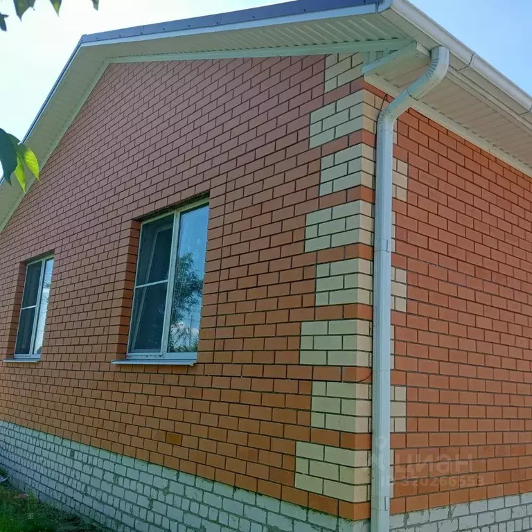 Дом в Воронежская область, Новоусманский район, с. Бабяково Заливной ... - Фото 2