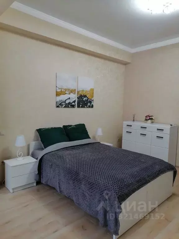 1-к кв. Ставропольский край, Пятигорск ул. Пестова, 9 (45.0 м) - Фото 1