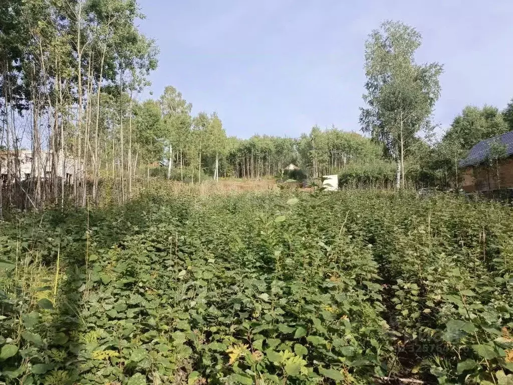 Участок в Иркутская область, Иркутский муниципальный округ, д. ... - Фото 1