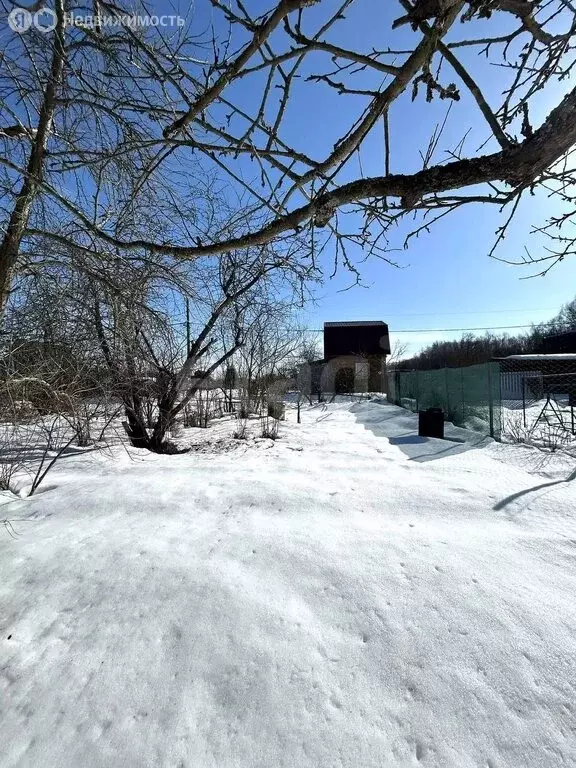 Участок в Дубна, СНТ Репка-2 (2 м) - Фото 2