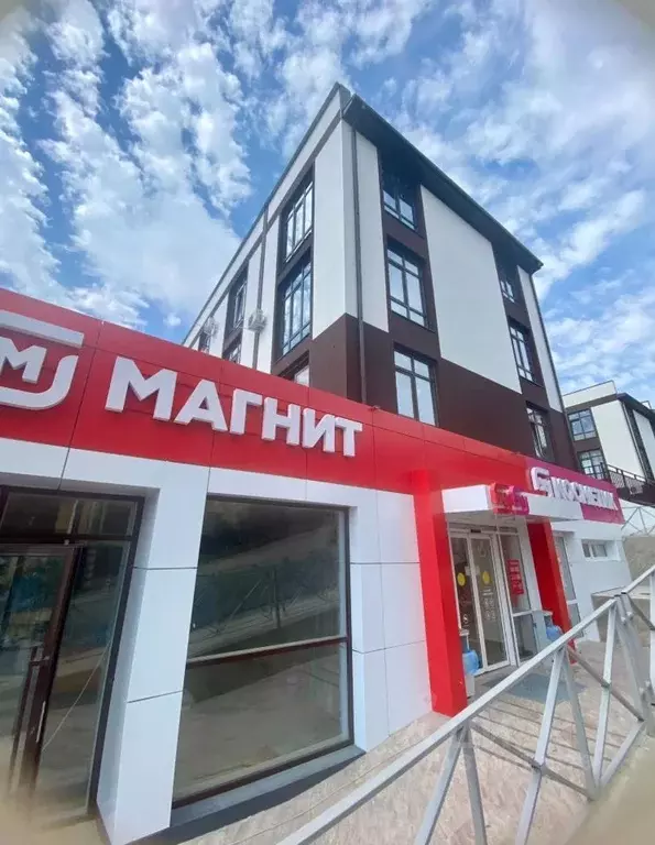 1-к кв. Краснодарский край, Сочи ул. Тимирязева, 53В (20.0 м) - Фото 1