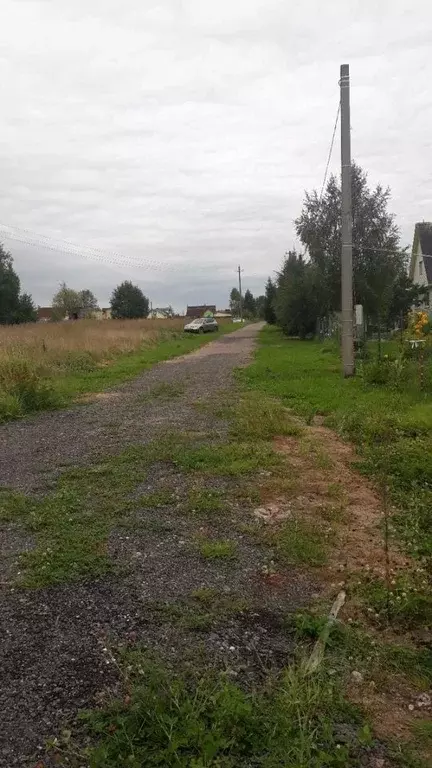 Участок в Ленинградская область, Тосненский район, Трубникоборское ... - Фото 0