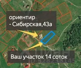 Участок в Алтайский край, Павловский район, с. Стуково  (14.0 сот.) - Фото 1