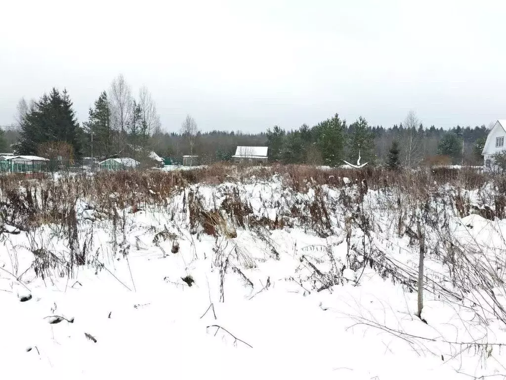 Участок в Колчановское сельское поселение, деревня Великое Село (7.7 ... - Фото 2