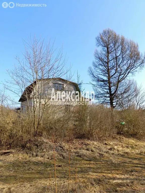 Дом в Старопольское сельское поселение, деревня Соболец, 26 (45 м) - Фото 1