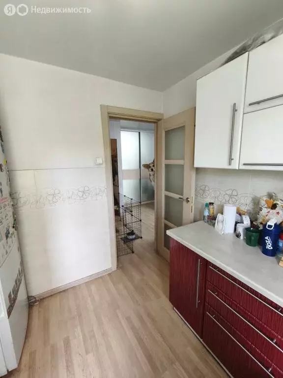 2-комнатная квартира: Екатеринбург, улица Мичурина, 56 (40.1 м) - Фото 0