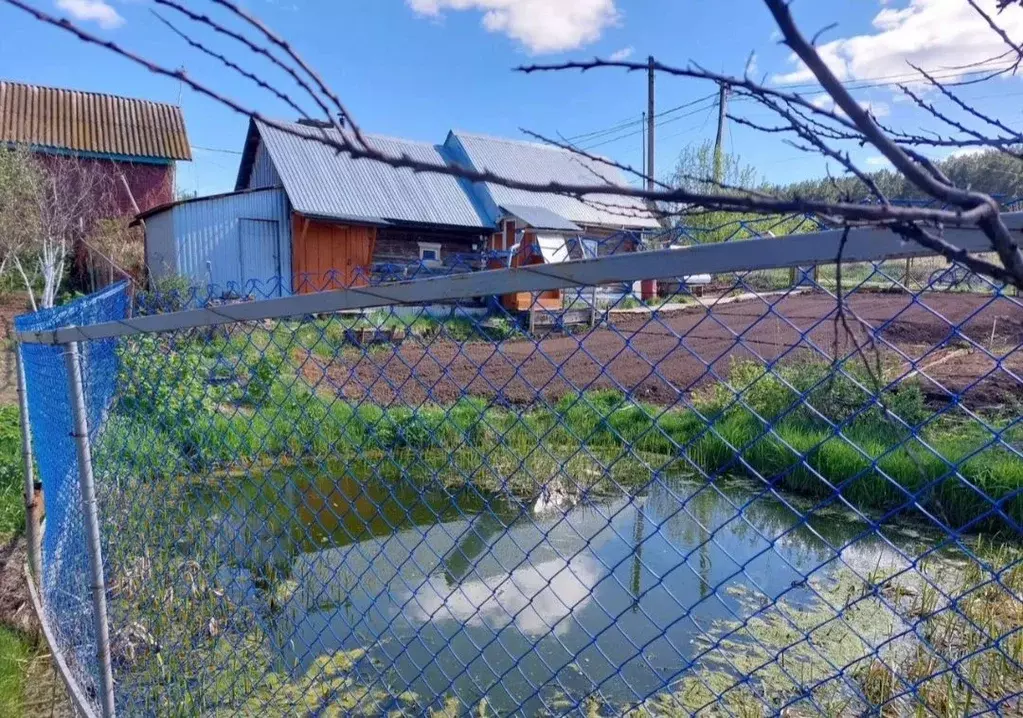 Дом в Башкортостан, Благовещенск ул. Орловское Лесничество, 36 (20 м) - Фото 1