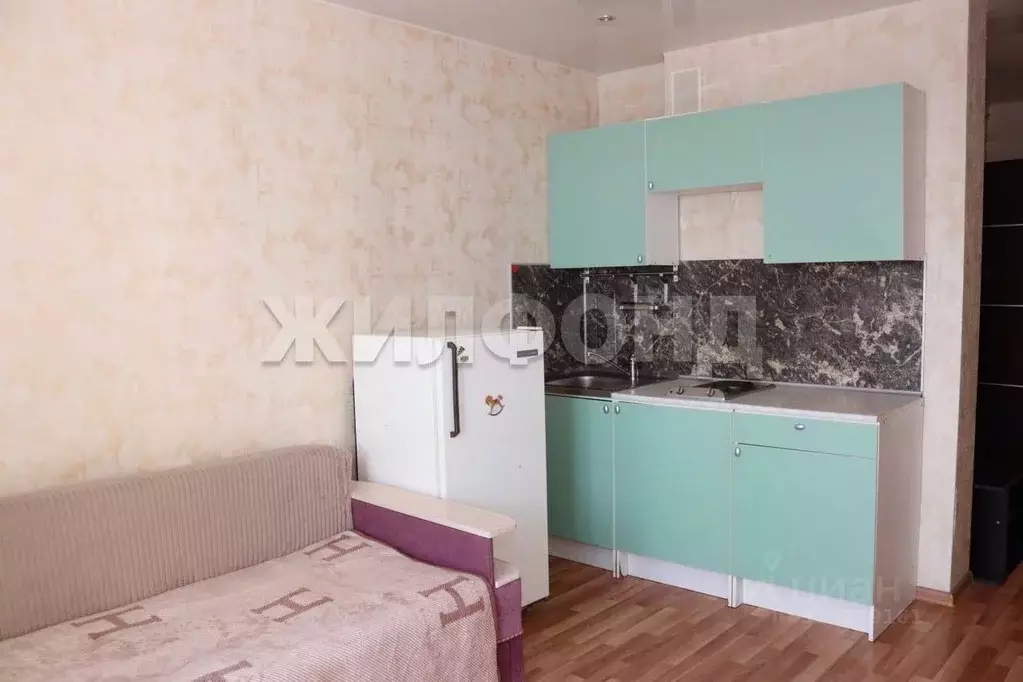 1-к кв. Новосибирская область, Новосибирск ул. Виктора Уса, 15 (19.6 ... - Фото 2