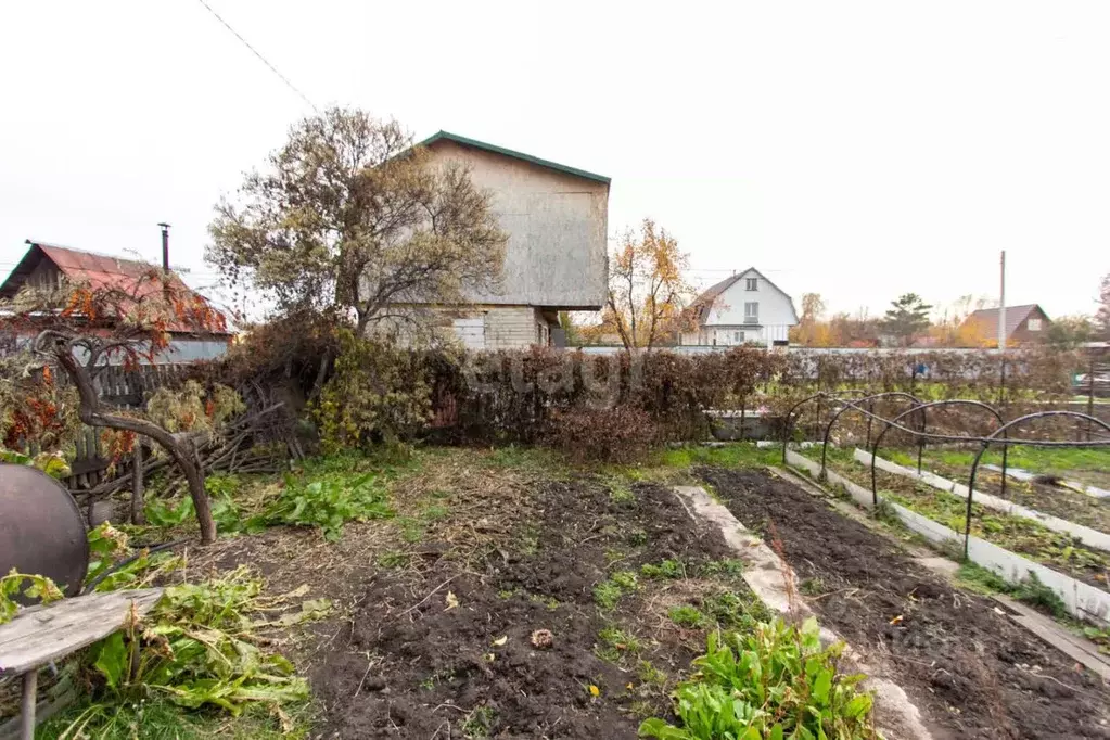 Дом в Новосибирская область, Новосибирск Садовод Сибирь 2 СНТ,  (30 м) - Фото 1