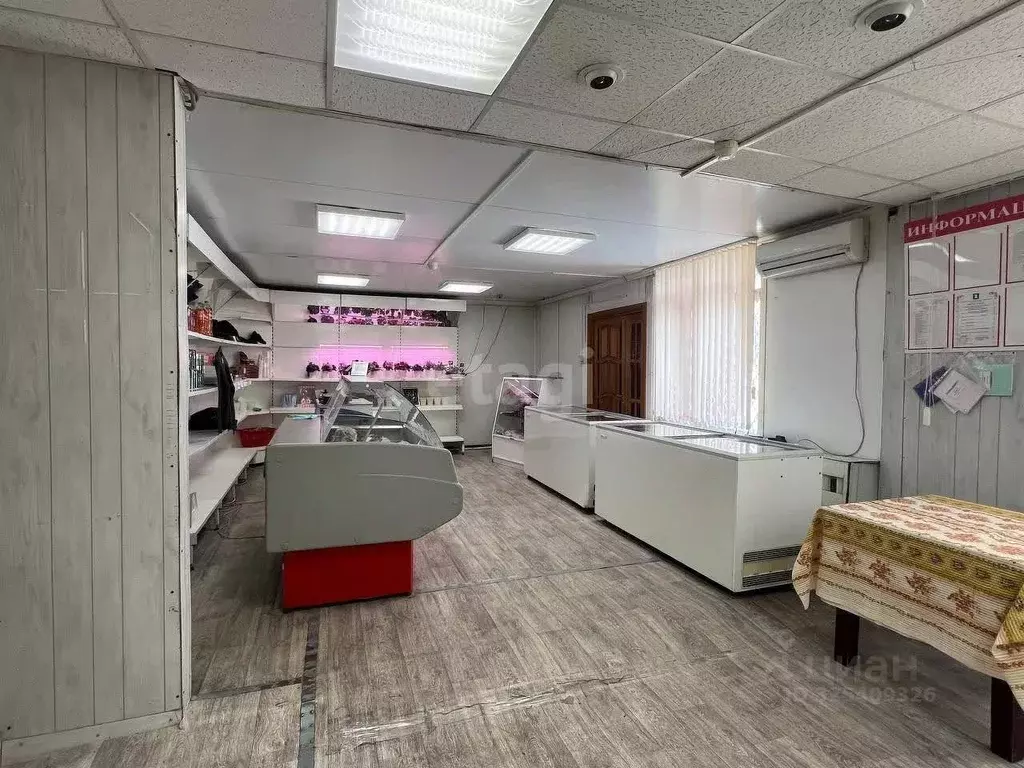 Торговая площадь в Ямало-Ненецкий АО, Надымский район, Пангоды пгт ул. ... - Фото 2