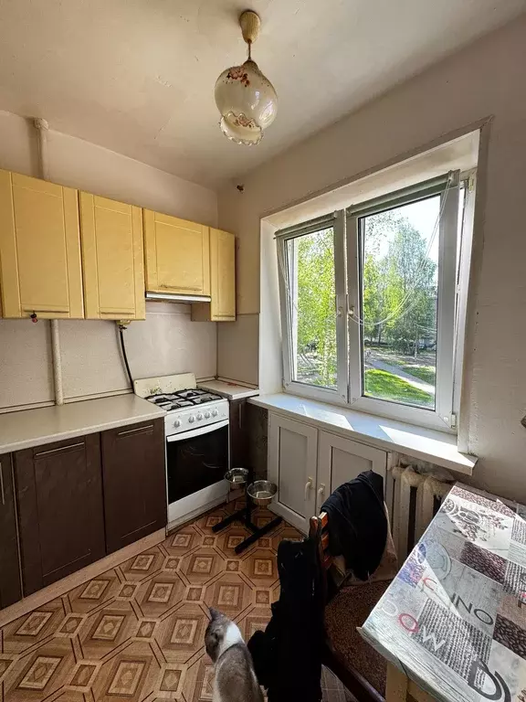 Продаётся 1-к квартира, 28.9 м - Фото 0