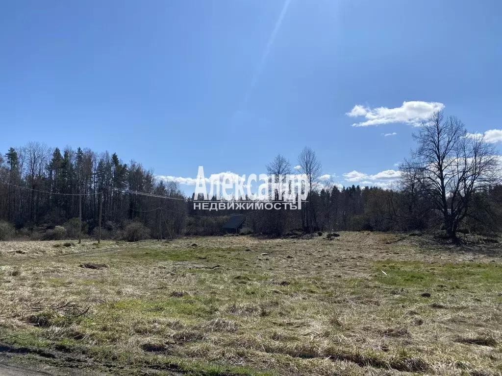 Участок в Ленинградская область, Приозерский район, Мельниковское ... - Фото 0