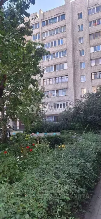 2-к кв. Воронежская область, Воронеж ул. Урывского, 3 (48.6 м) - Фото 1