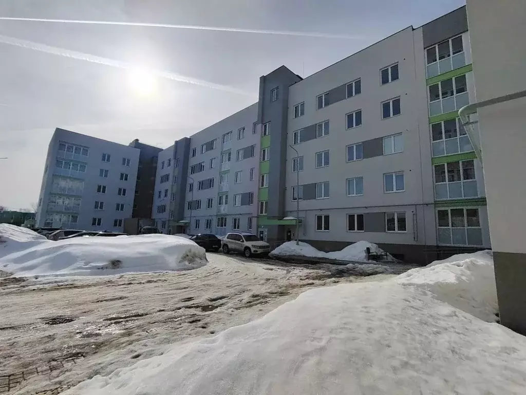 2-к кв. Нижегородская область, Бор ул. Молодежная, 4А (52.3 м) - Фото 1