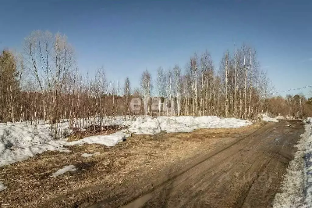 Участок в Ханты-Мансийский АО, Сургут Черемушки садовое товарищество, ... - Фото 1