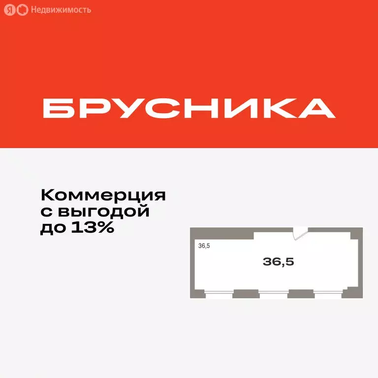 Помещение свободного назначения (36.5 м) - Фото 0