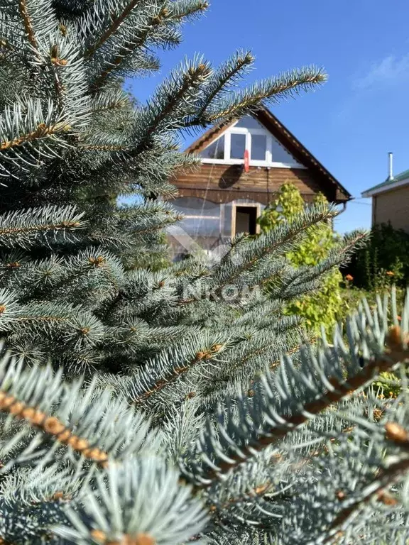 Дом в Удмуртия, Ижевск Новгородская ул., 114 (96 м) - Фото 2