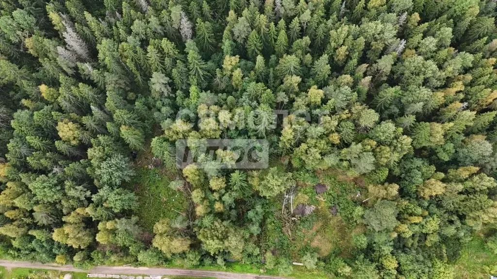 Участок в Ленинградская область, Тосненский район, Форносовское ... - Фото 1