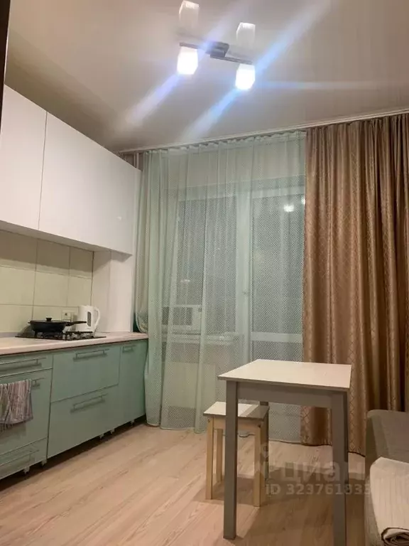 1-к кв. Псковская область, Псковский район, Завеличенская волость, д. ... - Фото 1