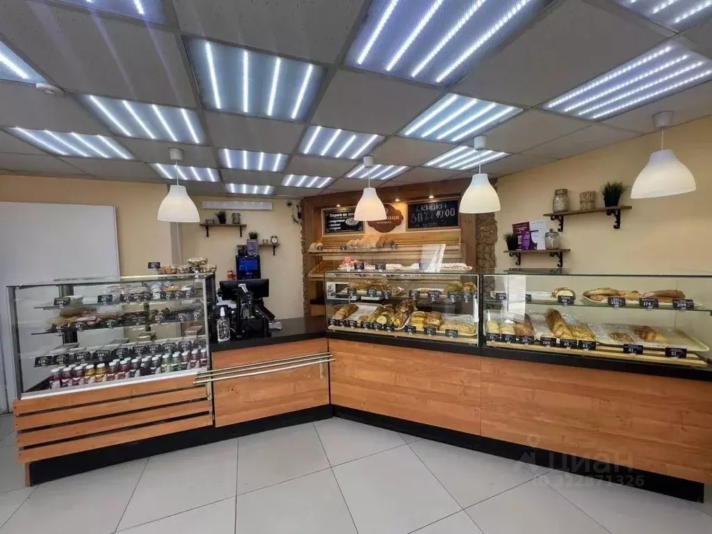 Помещение свободного назначения в Удмуртия, Ижевск Красная ул., 131 ... - Фото 1