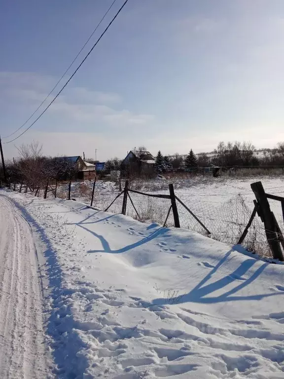 Участок в Саратовская область, Татищевский район, Идолгское ... - Фото 2