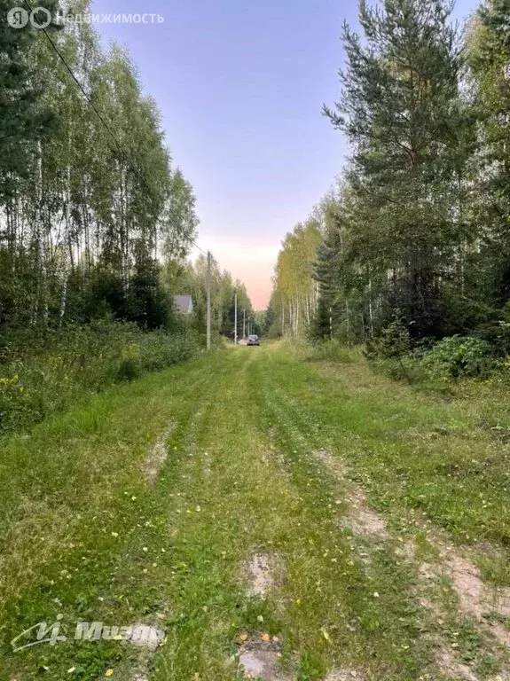 Участок в сельское поселение Большие Козлы, деревня Морозовы Дворы (40 ... - Фото 1