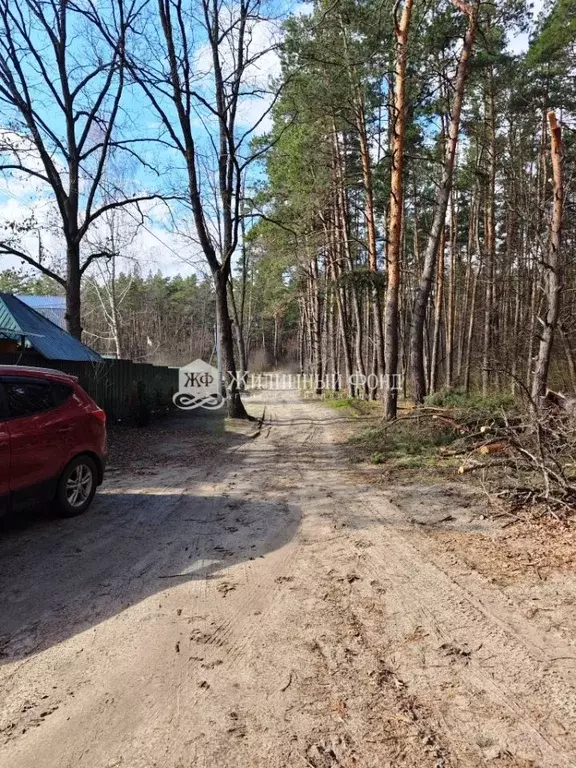 Дом в Курская область, Курчатовский район, с. Дичня  (128 м) - Фото 2