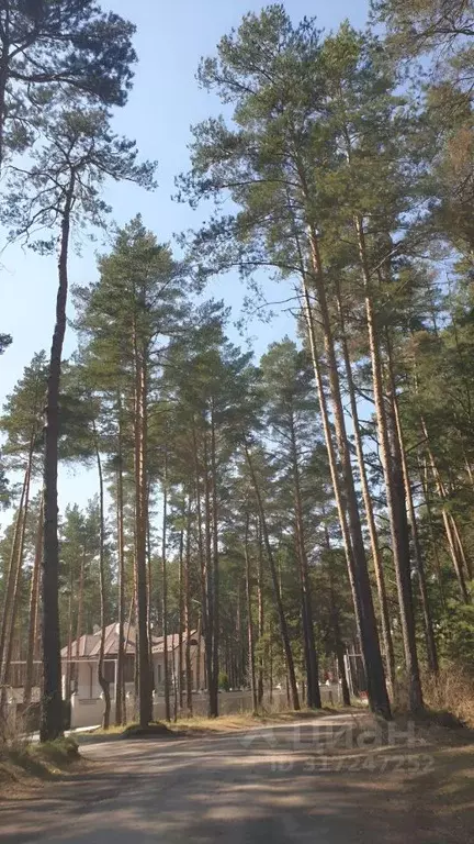 Коттедж в Новосибирская область, Новосибирский район, Кудряшовский ... - Фото 1