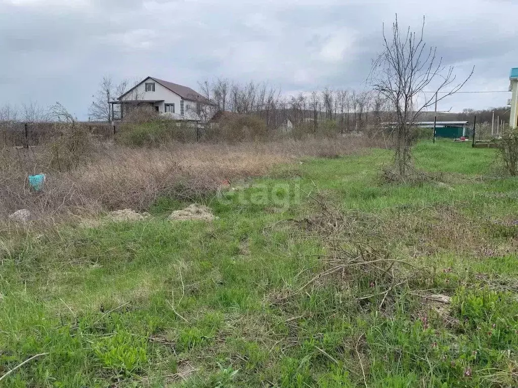 Участок в Краснодарский край, Новороссийск городской округ, ... - Фото 0