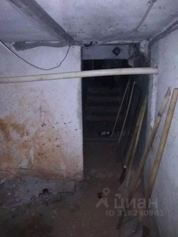 Помещение свободного назначения в Пермский край, Пермь ул. Степана ... - Фото 1