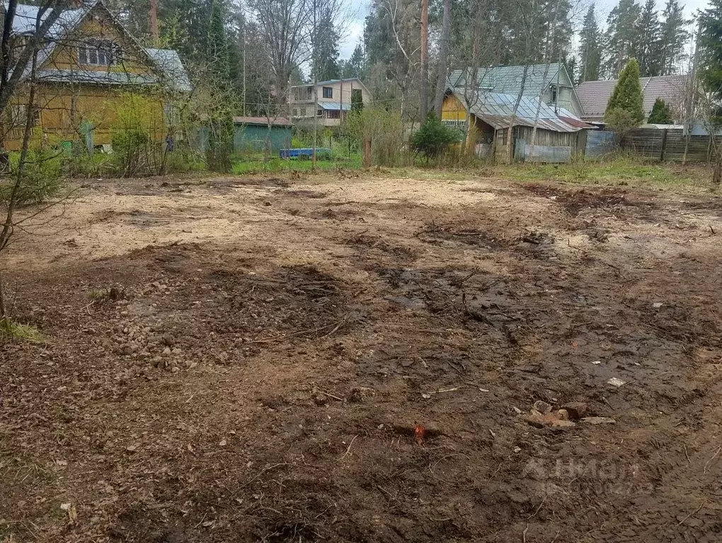 Участок в Ленинградская область, Гатчинский район, Вырица городской ... - Фото 1