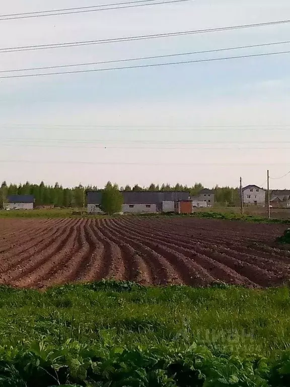 Участок в Новгородская область, Новгородский район, Бронницкое с/пос, ... - Фото 1