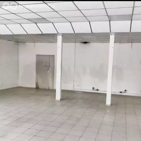 Помещение свободного назначения (110 м) - Фото 2