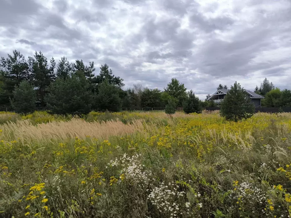 Участок в Московская область, Раменский муниципальный округ, д. Минино ... - Фото 2