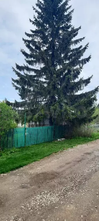 Дача 40 м на участке 5,3 сот. - Фото 1