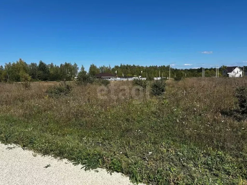 Участок в Липецкая область, Липецкий муниципальный округ, с. Сенцово  ... - Фото 1