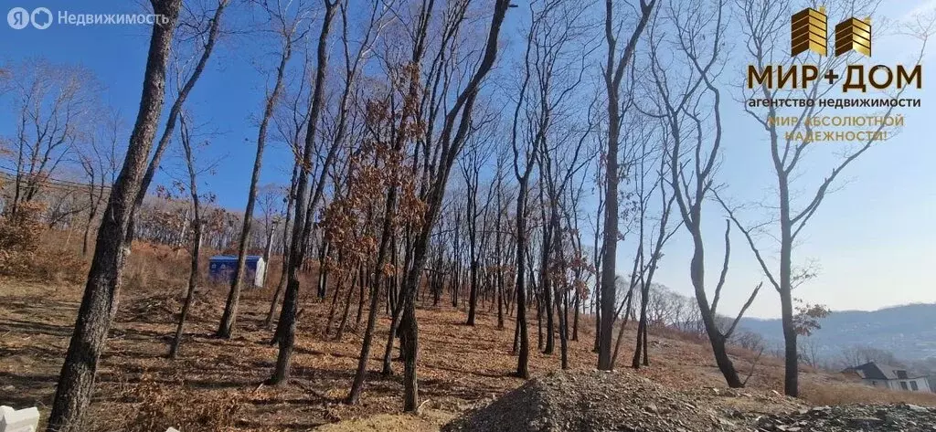 Участок в Находка, коттеджный посёлок Кедр, Ольховая улица, 59 (931 м) - Фото 1