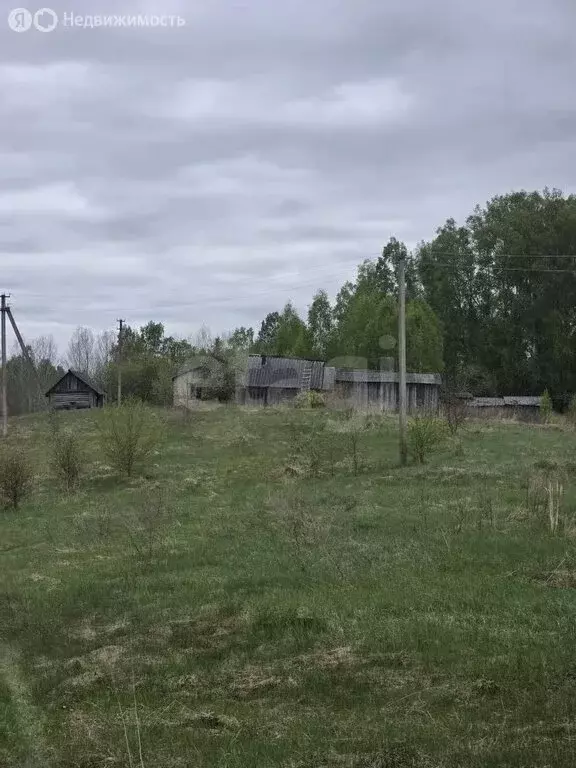 Дом в Псковская область, Островский муниципальный округ, Воронцовская ... - Фото 1