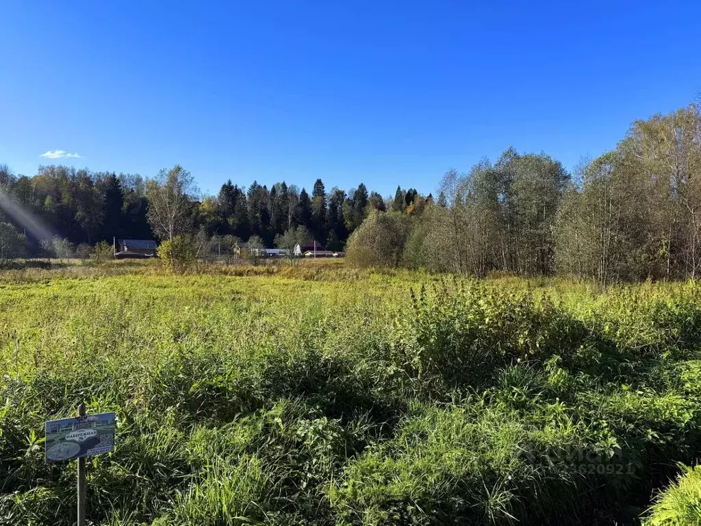 Участок в Московская область, Дмитровский муниципальный округ, Форест ... - Фото 1