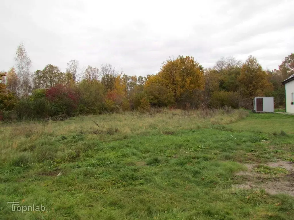 Участок в Калининградская область, Янтарный городской округ, пос. ... - Фото 2