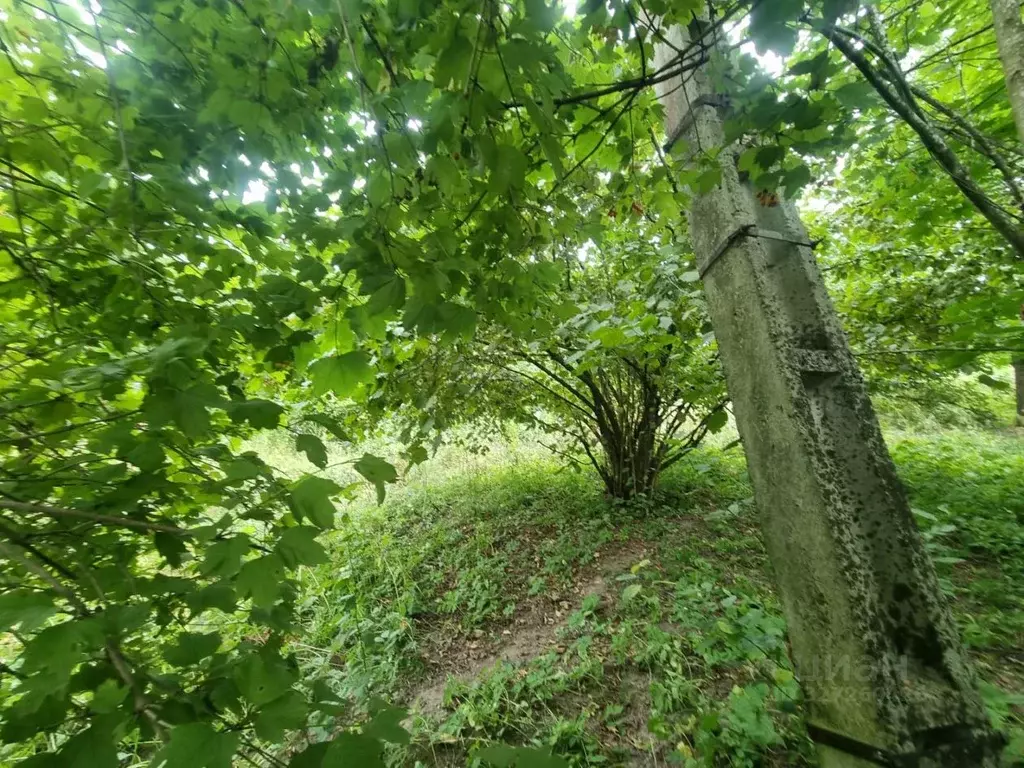 Участок в Кабардино-Балкария, Нальчик Восход СТ, 32 (9.4 сот.) - Фото 2
