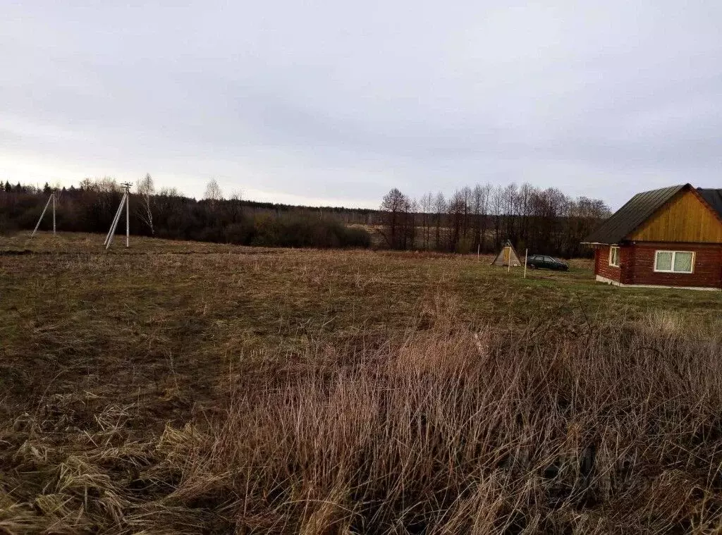 Участок в Владимирская область, Судогодский район, Головинское ... - Фото 1