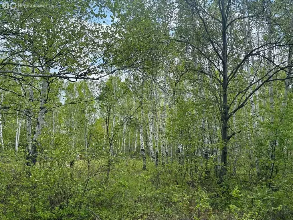 Участок в Комсомольск-на-Амуре, улица Свердлова (10 м) - Фото 1