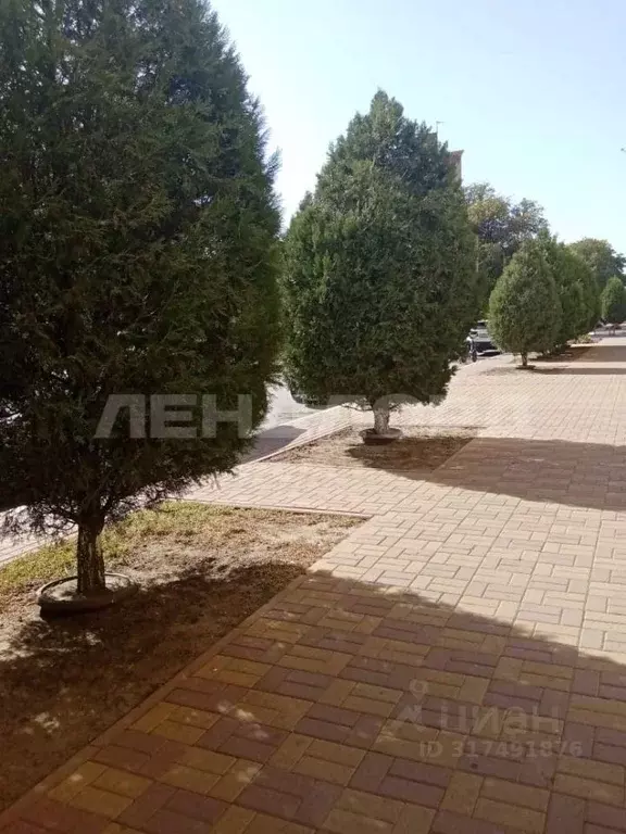 Участок в Ростовская область, Ростов-на-Дону ул. Петрашевского (7.5 ... - Фото 1