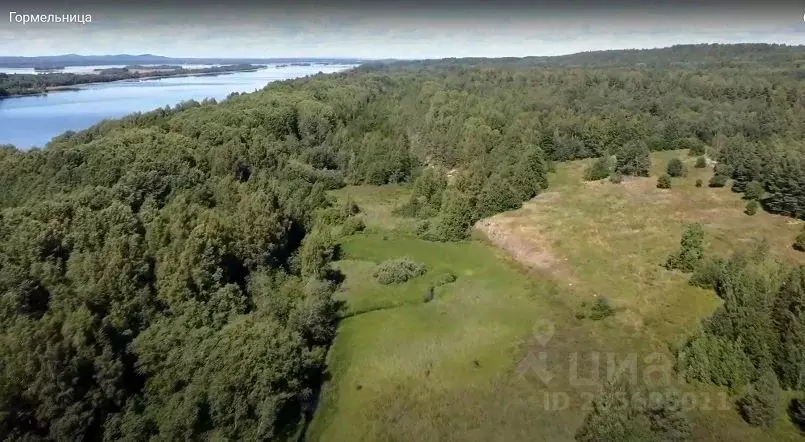 Участок в Карелия, Медвежьегорский район, д. Шуньга  (7.8 сот.) - Фото 1